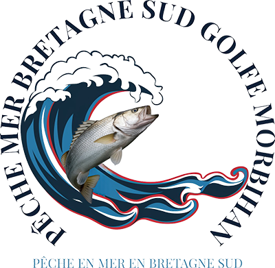 logo peche mer bretagne sud golfe morbihan